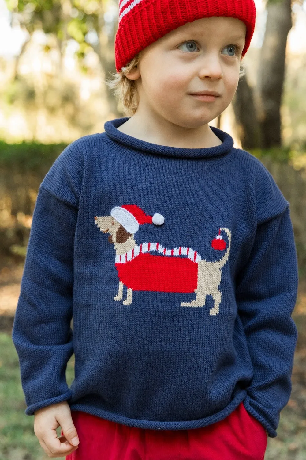 Bailey Boys Roll Neck Sweater - Navy Blue - Santa Doxie Dog