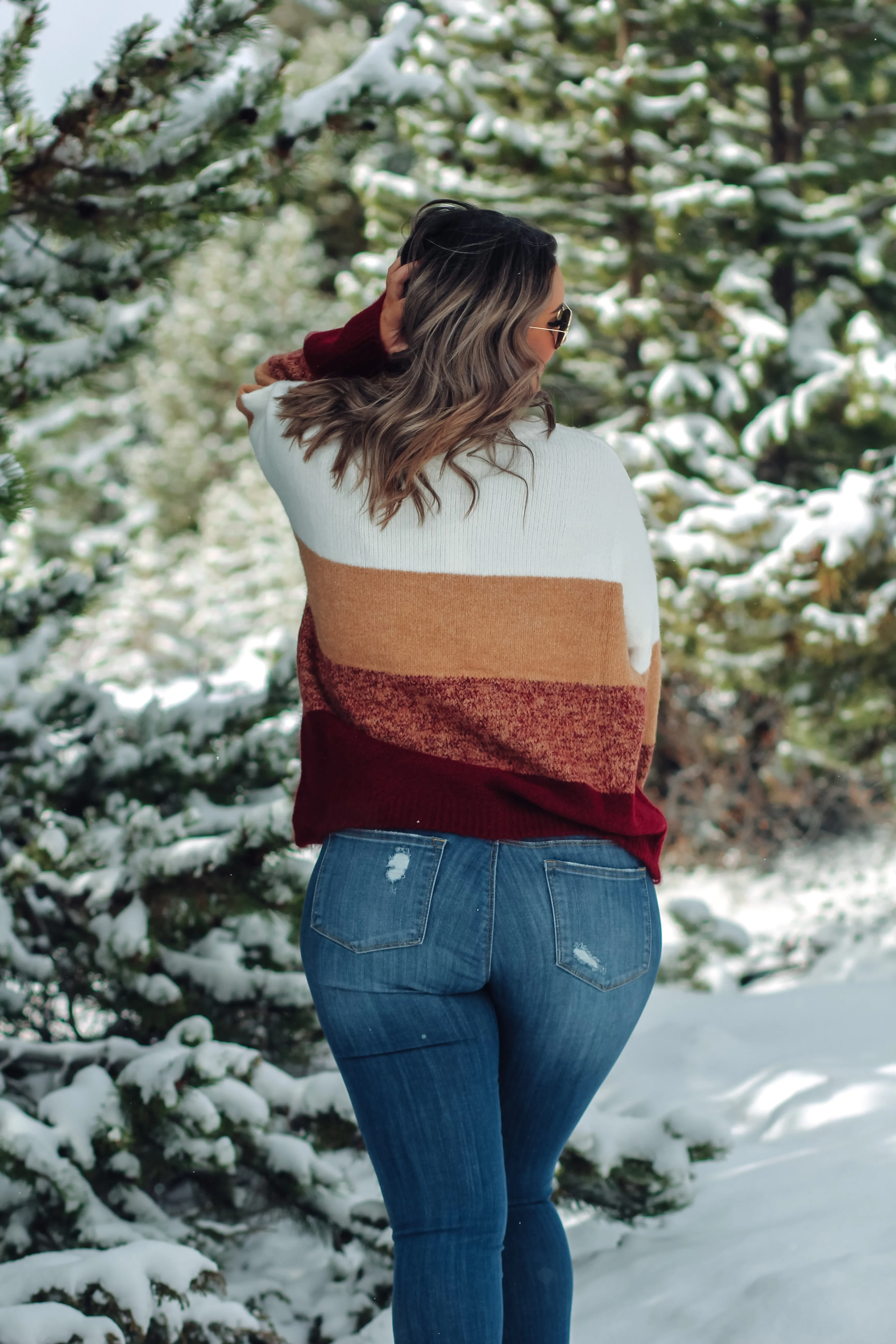 Camel & Wine Colorblock Knit Sweater